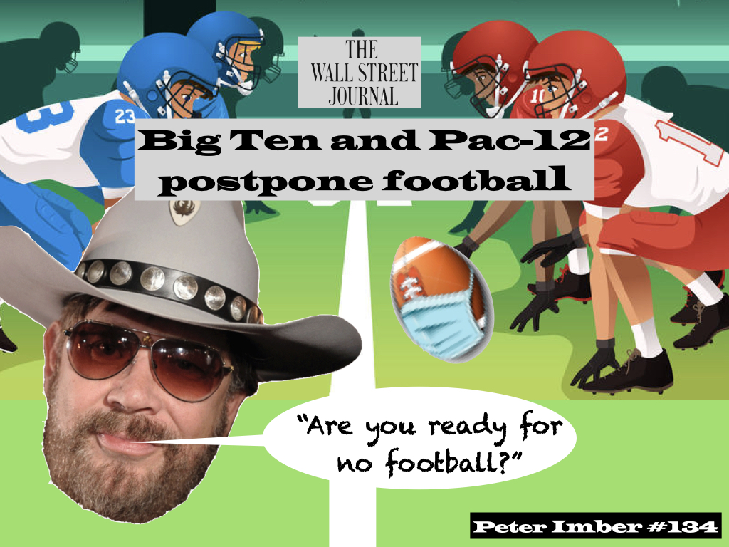 More Cartoons in the Time of COVID-19 for August.001.jpeg