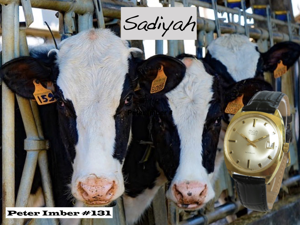 More Cartoons in the Time of COVID-19 for August.001.jpeg