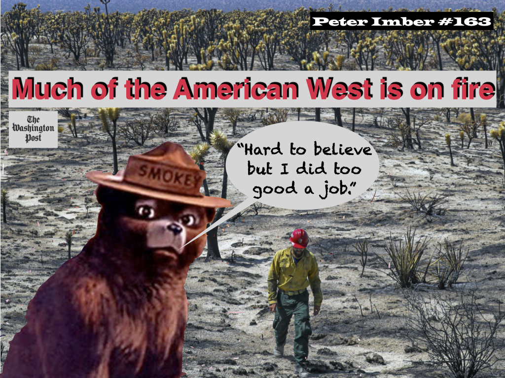 More Cartoons in the Time of COVID-19 for September.001